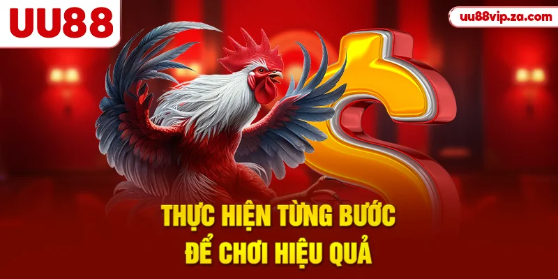 Thực hiện từng bước để chơi hiệu quả