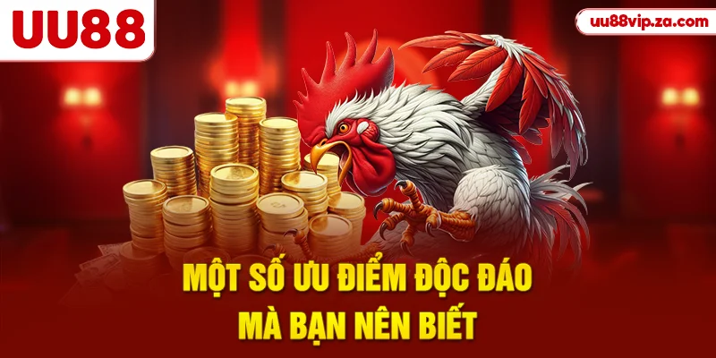 Một số ưu điểm độc đáo mà bạn nên biết